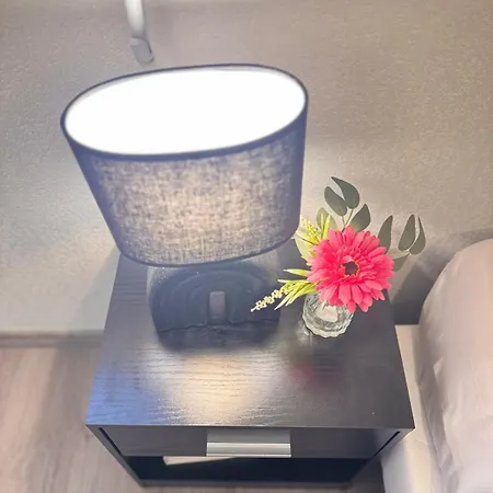 Modern 4-room 3 Bedrooms Netflix Parking * تولوز